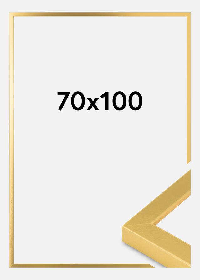 Billedramme Guld Bred 70 x 100 cm