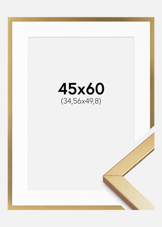 Ramme Minerva Guld 45x60 cm - Passepartout Hvid 14x20 inches