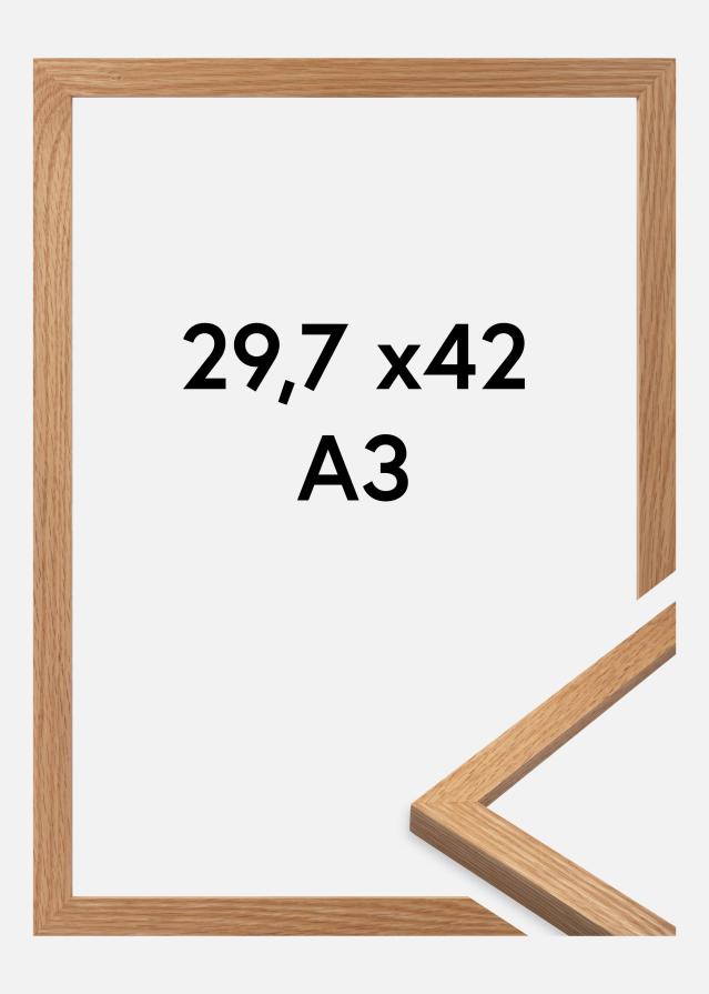 Premium by BGA Eg 29,7x42 cm (A3)