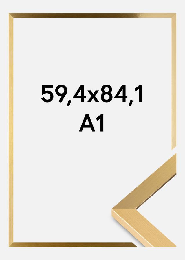 Ramme Selection Akrylglas Guld 59,4x84,1 cm (A1)