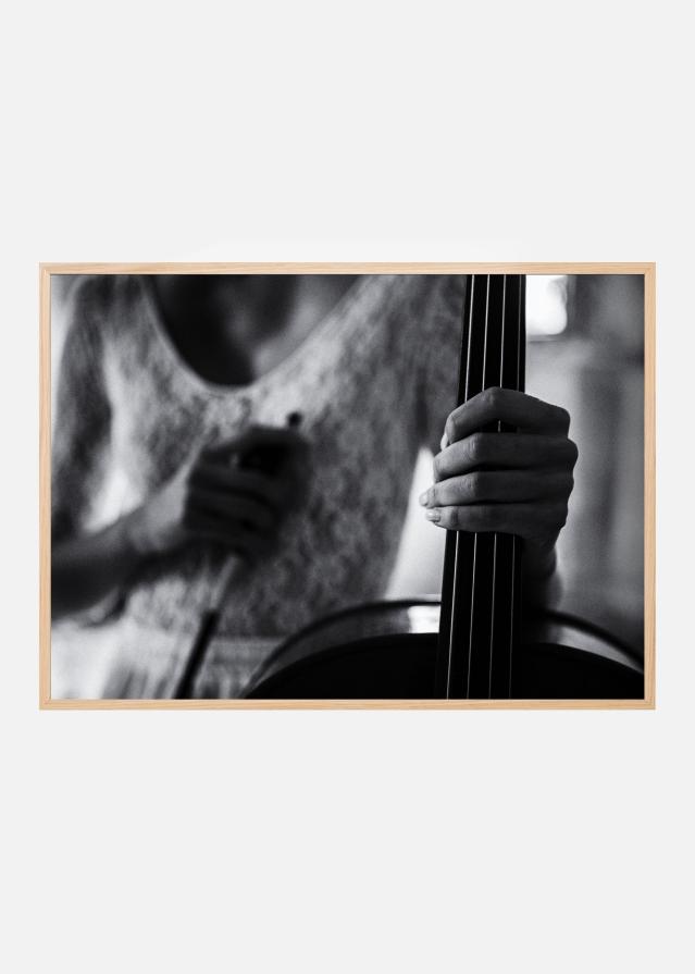 break for the cello Plakat