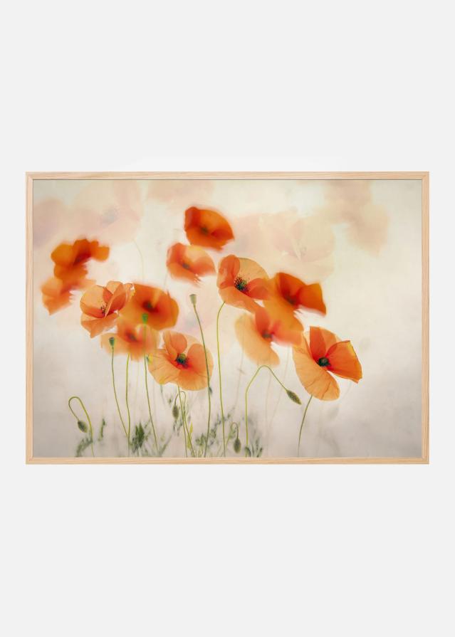 Waving in the wind Plakat