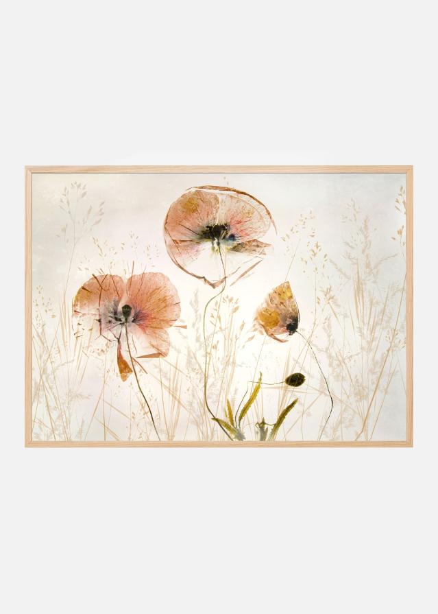 Light and soft Plakat