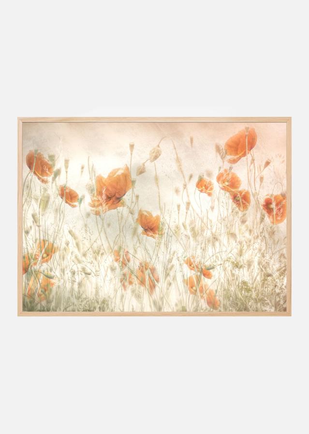 Poppies in the field Plakat