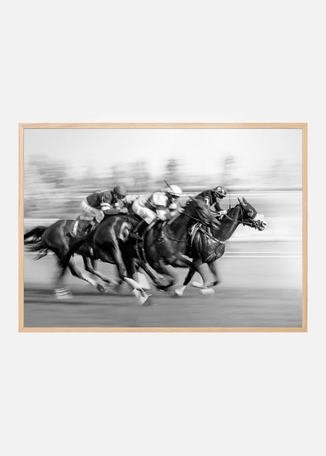 Horse Racing Plakat