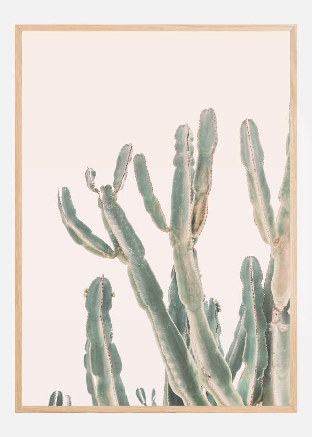 Sunrise Cactus Plakat
