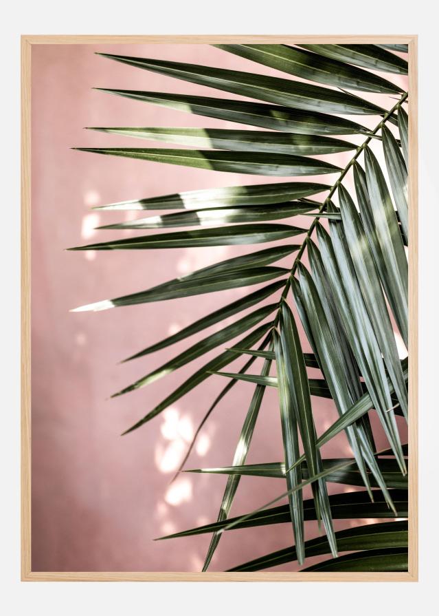 Palm Leaves Plakat