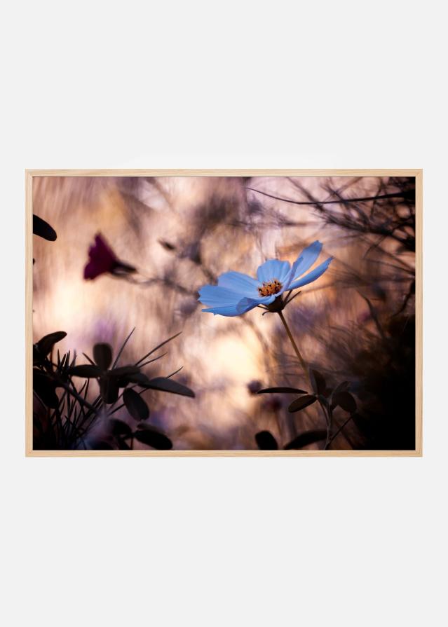 L’Indifférence Plakat