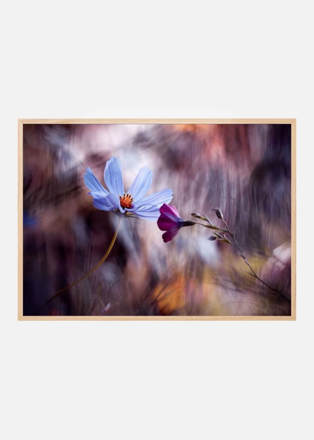 Le rendez vous Plakat