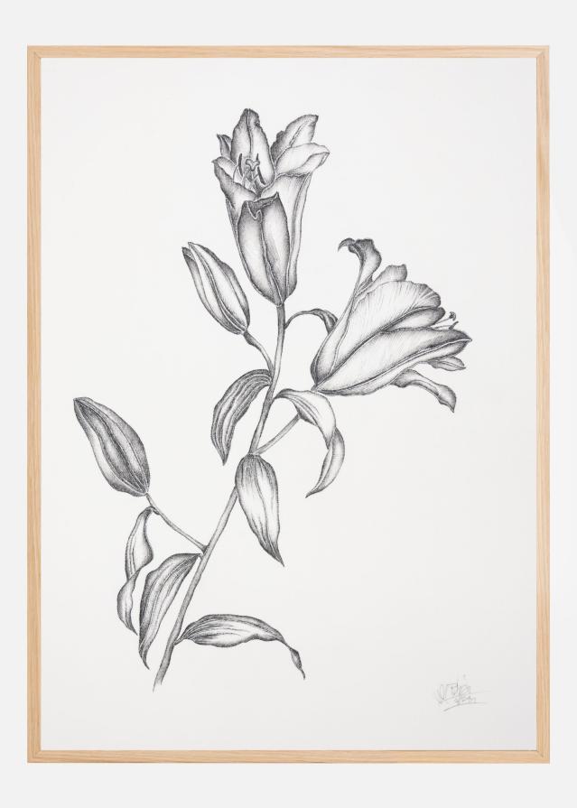 Where Have All the Flowers Gone V Plakat