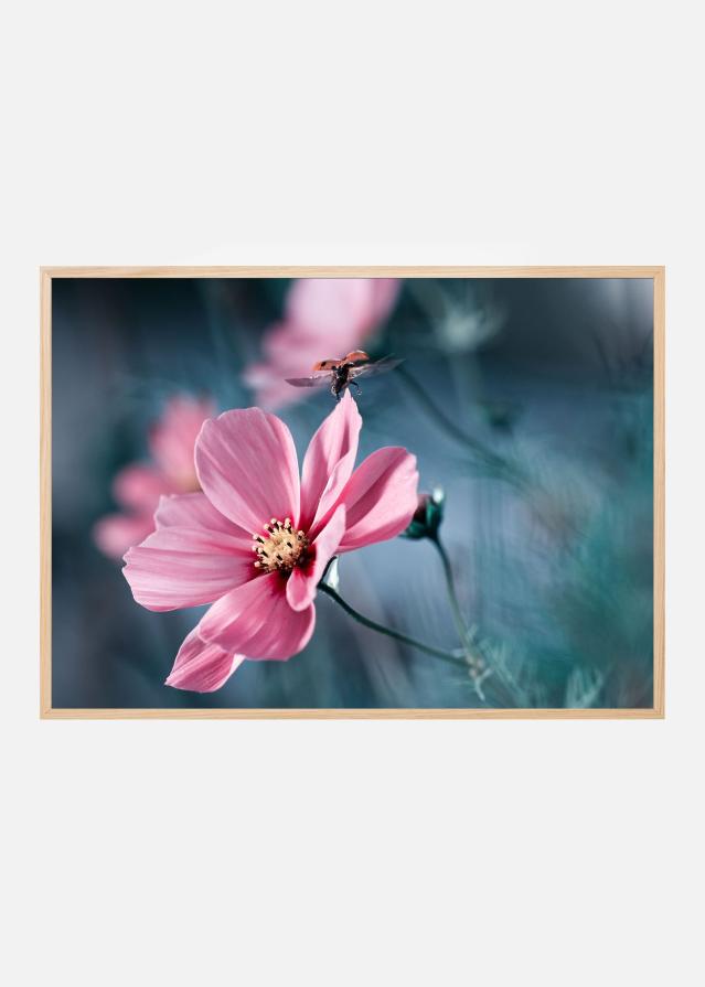 Clair de Terre Plakat