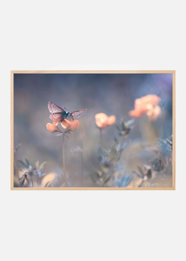 The Lady of Lothlorien Plakat