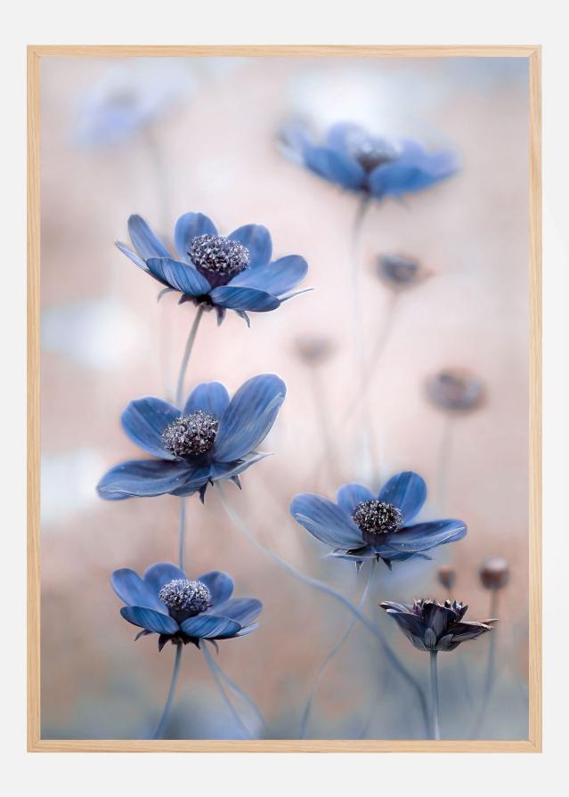 Cosmos blue Plakat