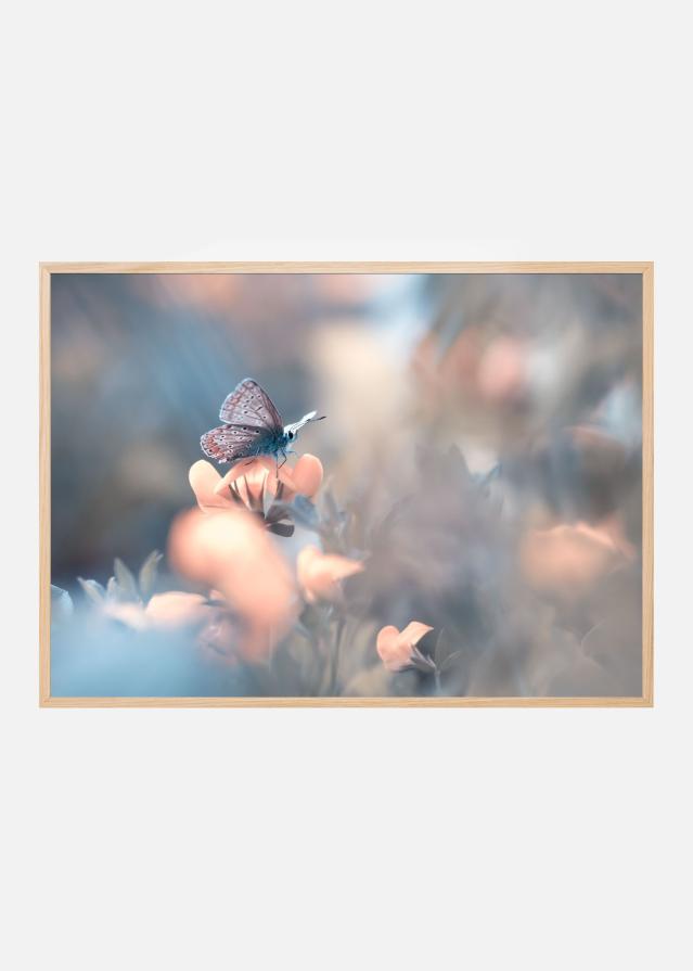 Parmi les dakinis Plakat