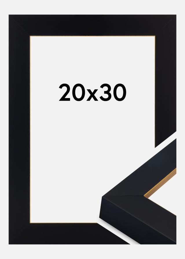 Ramme Sussex Akrylglas Sort/Guld 20x30 cm