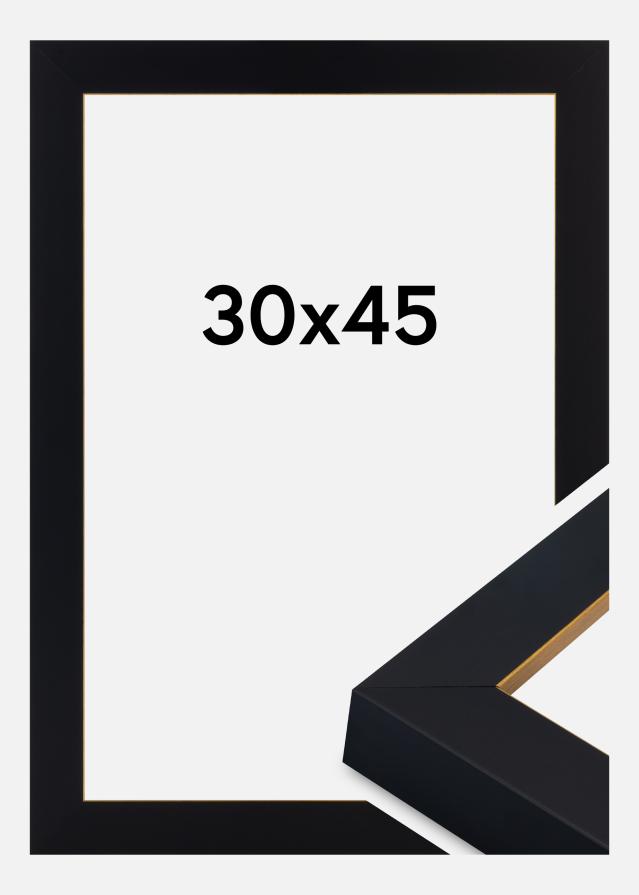 Ramme Sussex Akrylglas Sort/Guld 30x45 cm