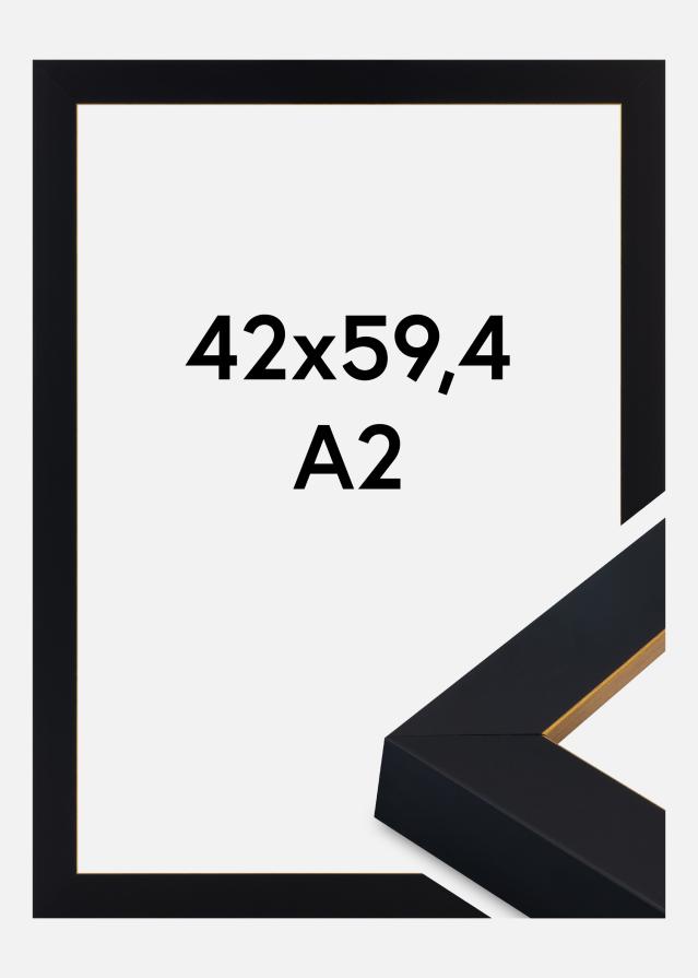 Ramme Sussex Akrylglas Sort/Guld 42x59,4 cm (A2)