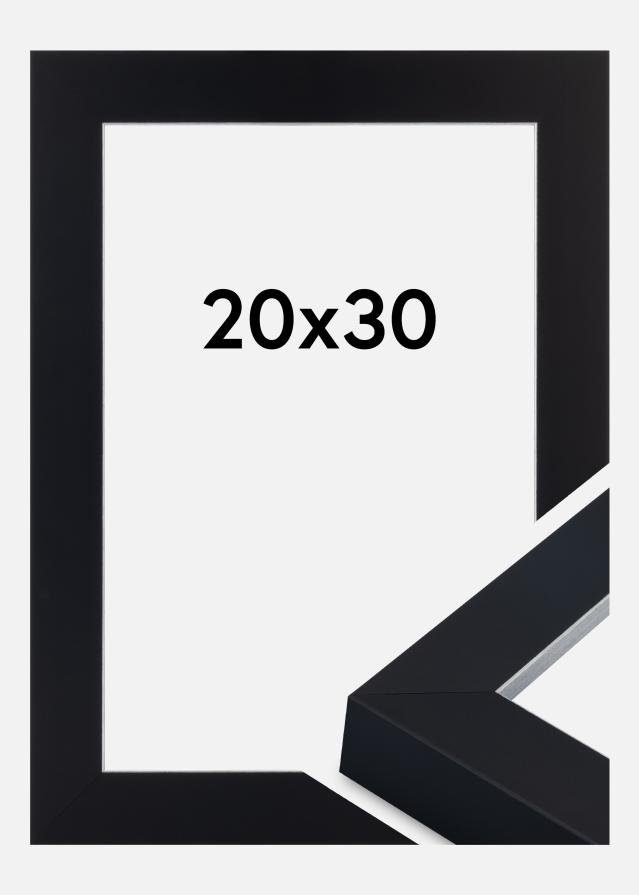 Ramme Sussex Akrylglas Sort/Sølv 20x30 cm