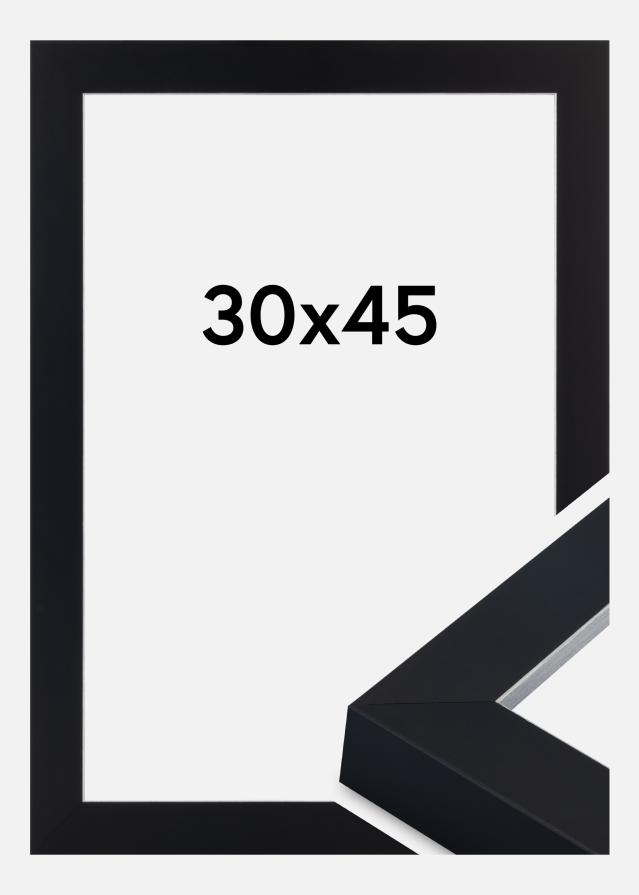 Ramme Sussex Akrylglas Sort/Sølv 30x45 cm