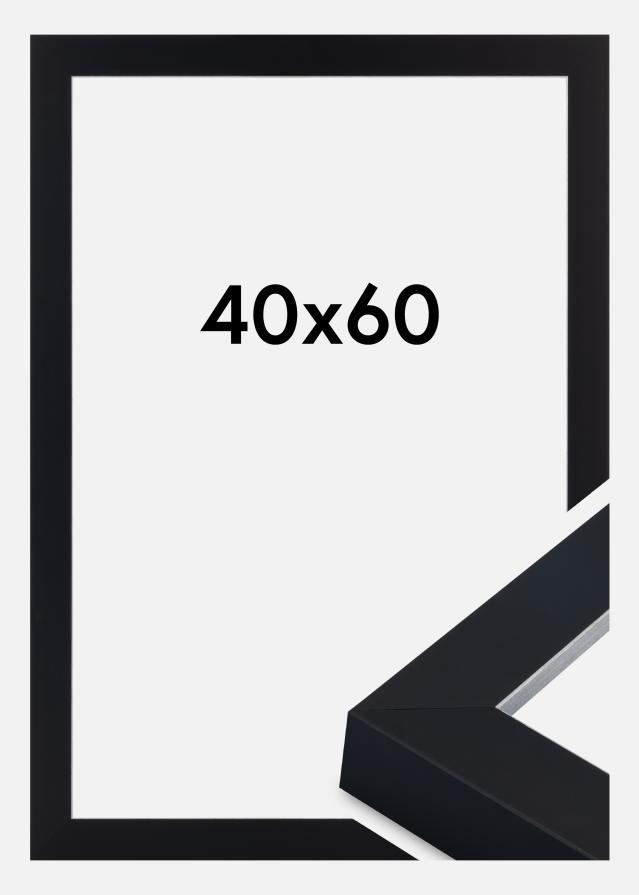 Ramme Sussex Akrylglas Sort/Sølv 40x60 cm