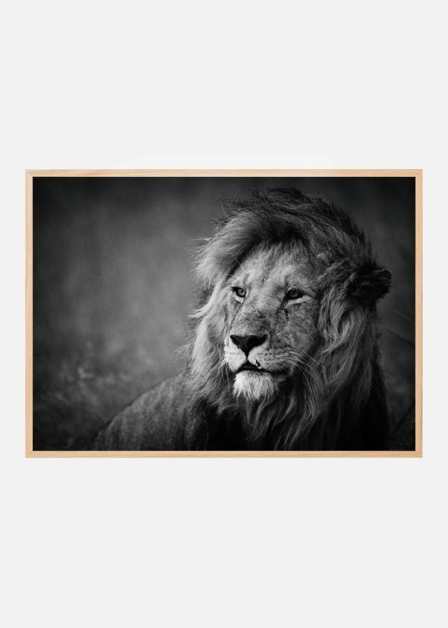 Regal Plakat
