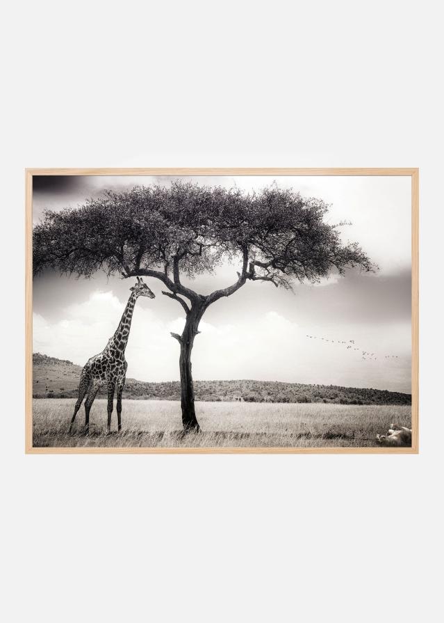 Under the African sun Plakat