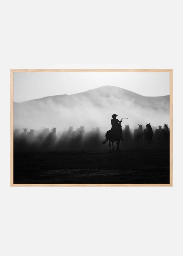 Chasing the Jades! Plakat