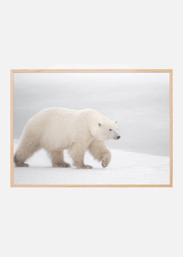 White Plakat