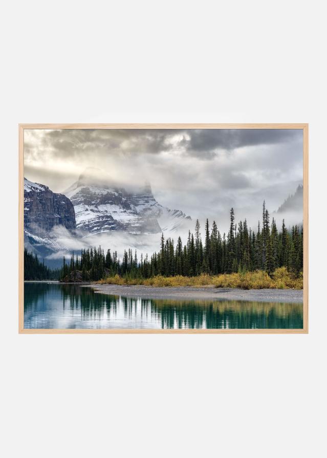 Morning in the Rockies Plakat