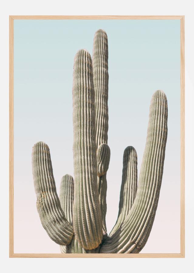 Saguaro Plakat