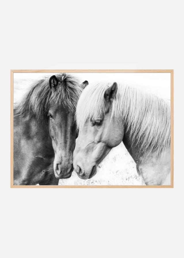 Horse Love Plakat