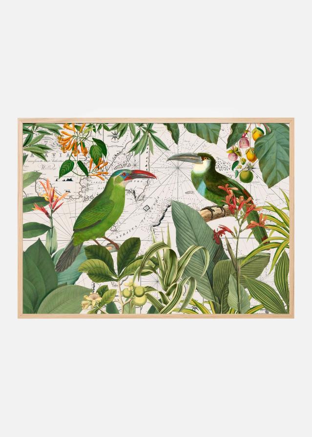 Parrots Nostalgic Journey 3 Plakat