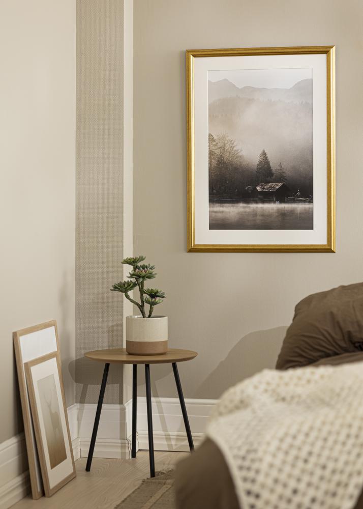 Ramme Västkusten Akrylglas Guld 12x36 inches (30,48x91,44 cm)