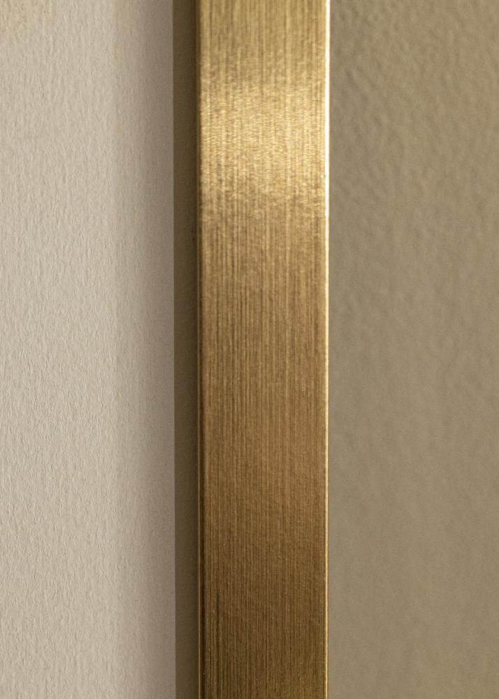 Ramme Selection Akrylglas Guld 40x40 cm