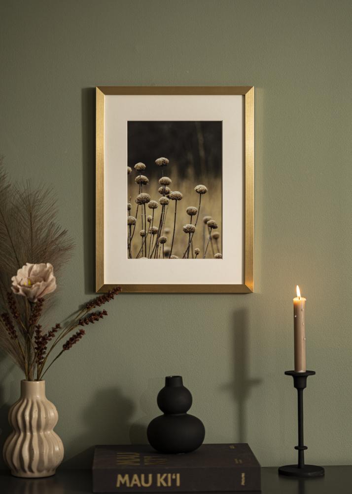 Ramme Selection Akrylglas Guld 40x40 cm