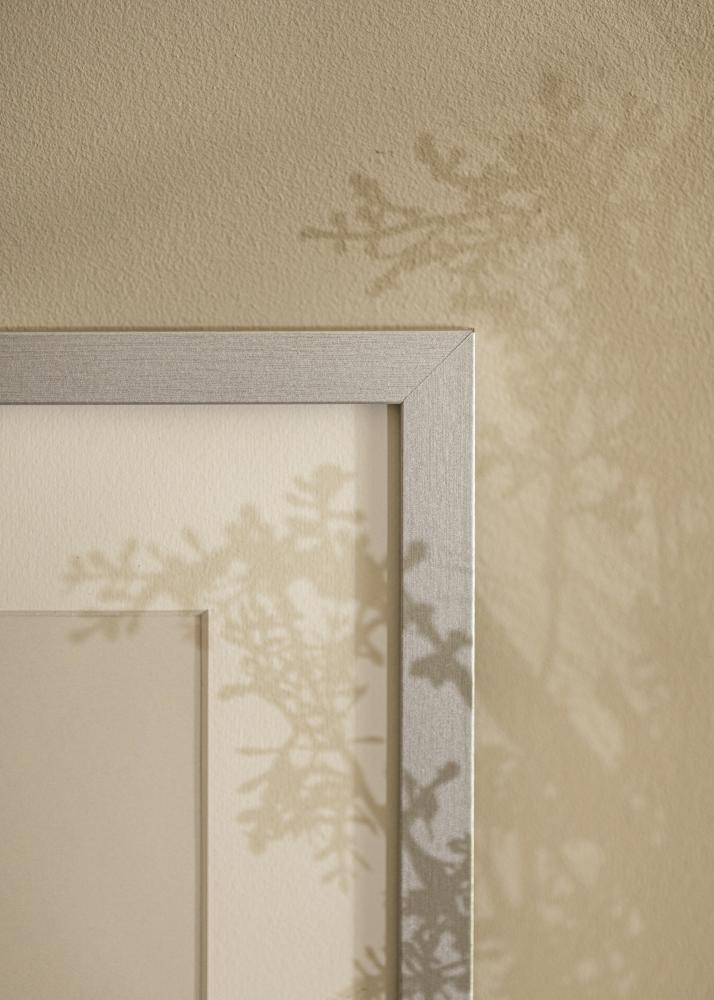 Ramme Selection Akrylglas Sølv 12x36 inches (30,48x91,44 cm)