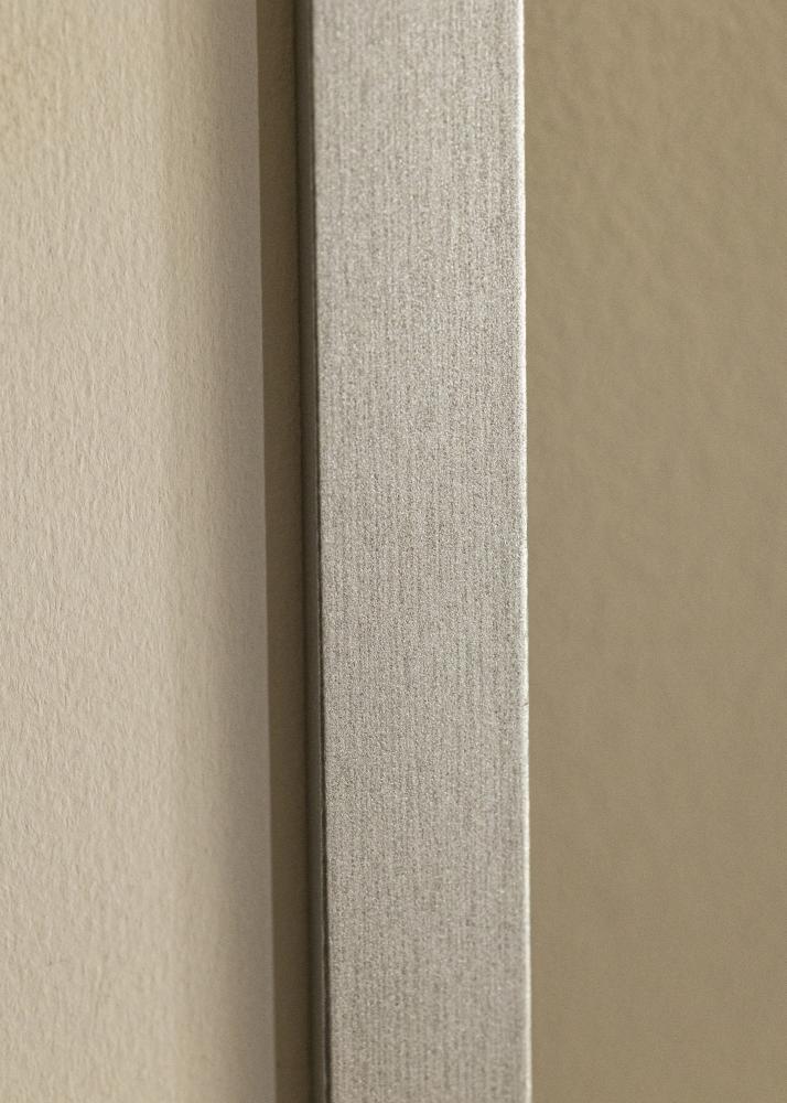 Ramme Selection Akrylglas Sølv 12x36 inches (30,48x91,44 cm)