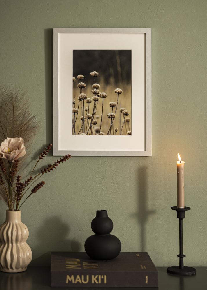 Ramme Selection Akrylglas Sølv 12x36 inches (30,48x91,44 cm)