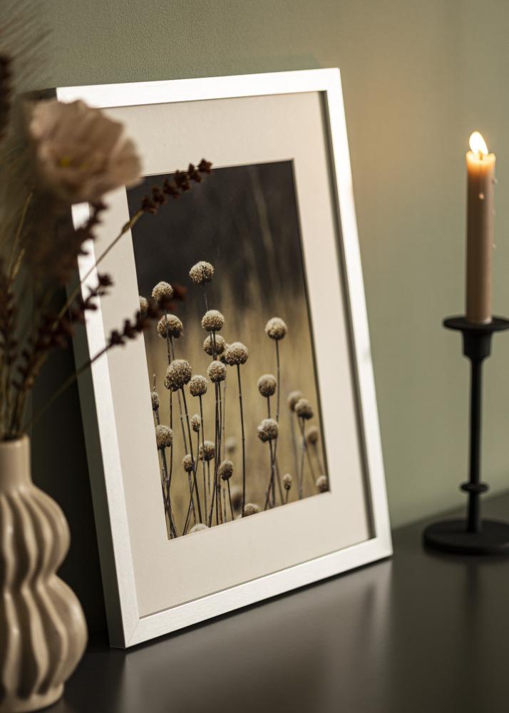 Ramme Selection Akrylglas Sølv 12x36 inches (30,48x91,44 cm)