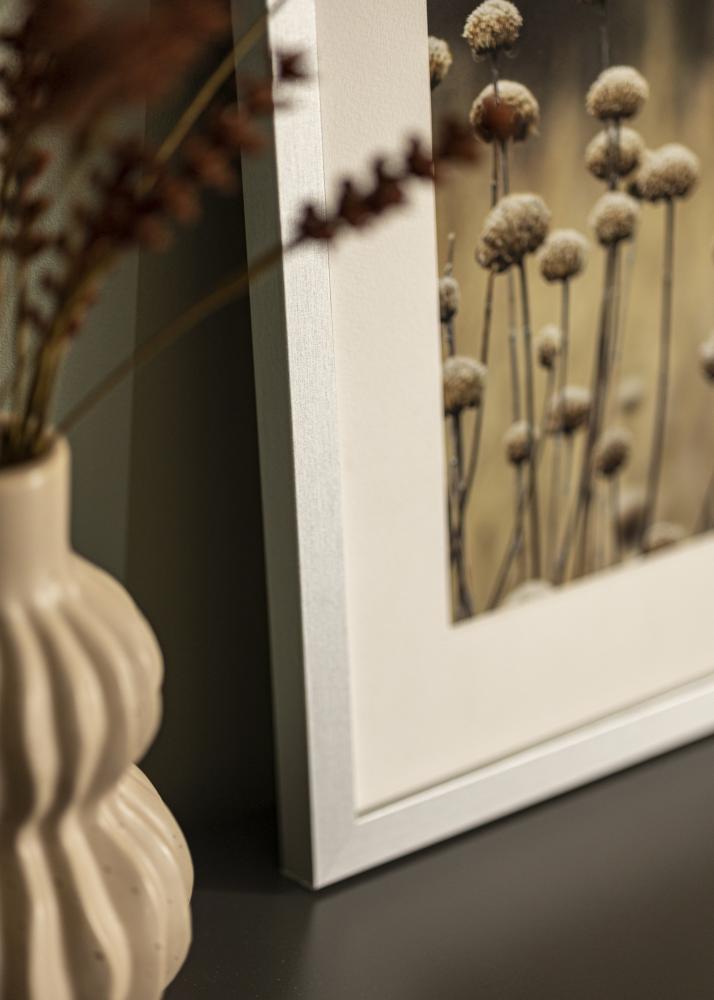 Ramme Selection Akrylglas Sølv 12x36 inches (30,48x91,44 cm)