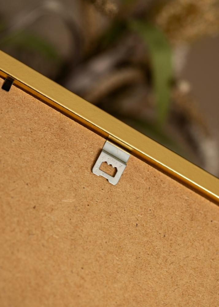 Ramme Minerva Guld 50x60 cm - Passepartout Hvid 40x50 cm