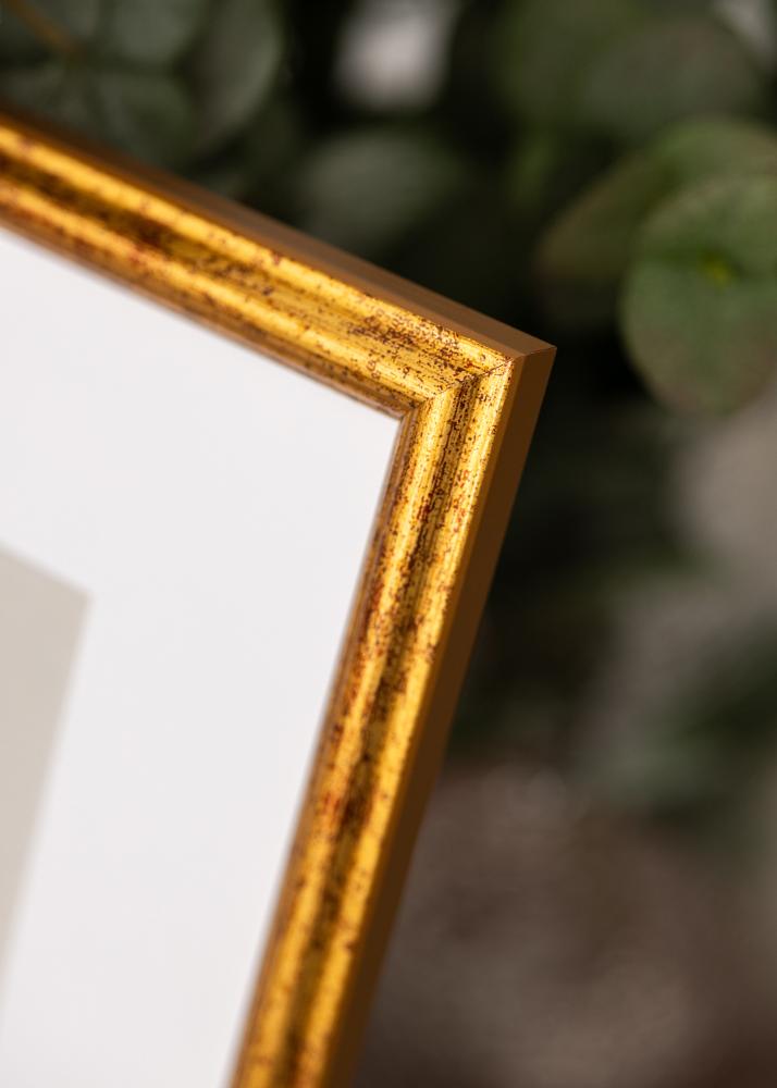 Ramme Claudia Akrylglas Guld 59,4x84,1 cm (A1)
