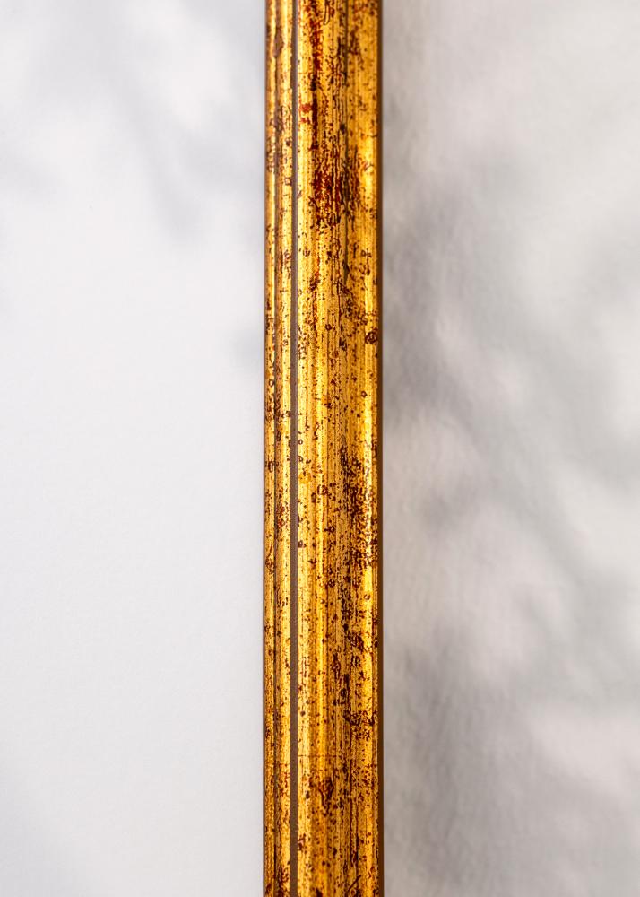 Ramme Claudia Akrylglas Guld 59,4x84,1 cm (A1)