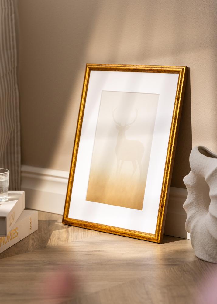 Ramme Claudia Akrylglas Guld 59,4x84,1 cm (A1)