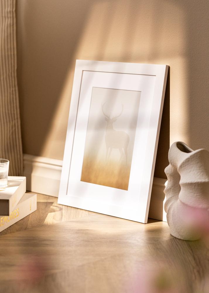 Ramme Sandra Akrylglas Hvid 29,7x42 cm (A3)