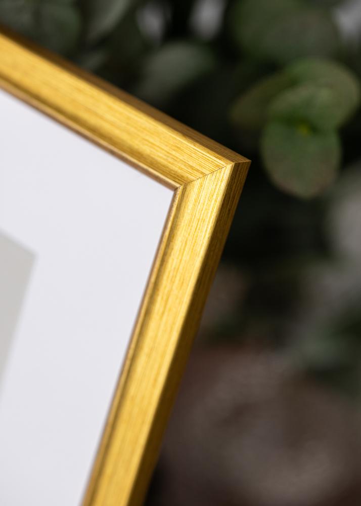 Ramme Marisa Akrylglas Guld 40x50 cm