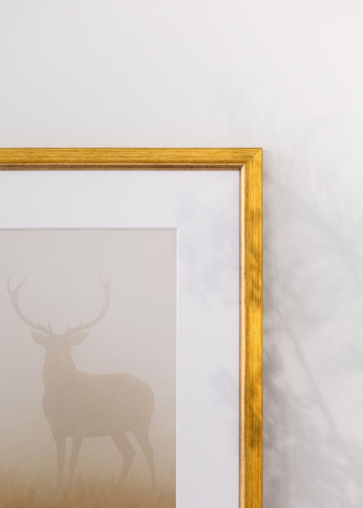 Ramme Marisa Akrylglas Guld 40x50 cm