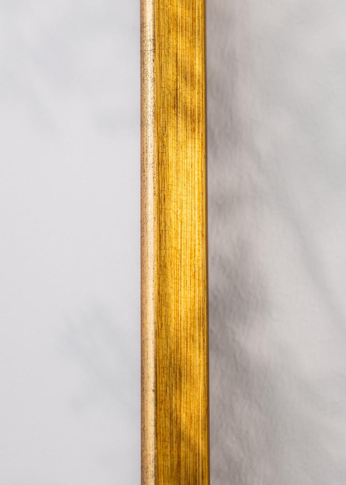 Ramme Marisa Akrylglas Guld 40x50 cm