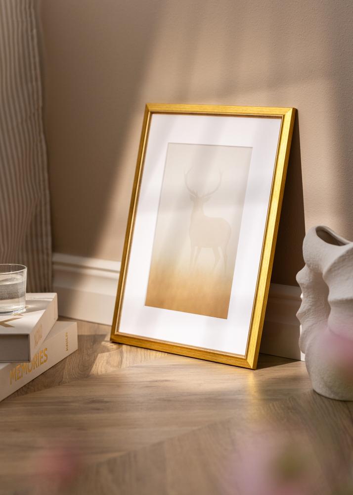 Ramme Marisa Akrylglas Guld 40x50 cm