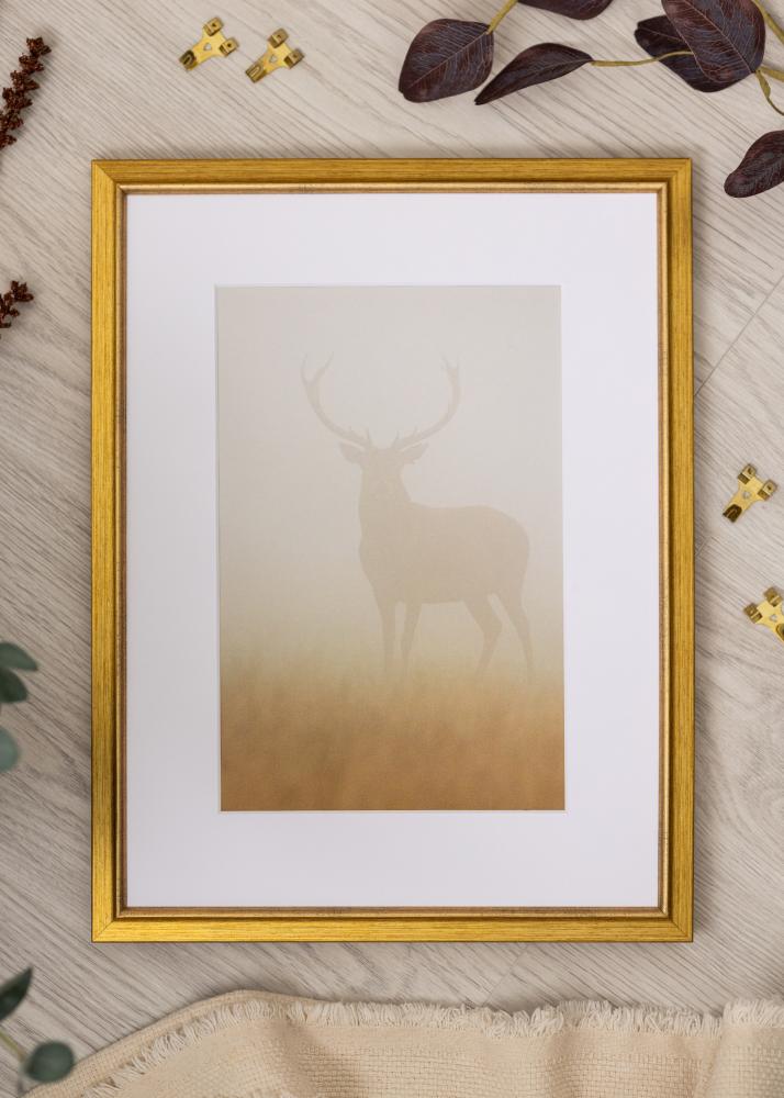 Ramme Marisa Akrylglas Guld 40x50 cm